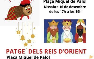 TIÓ GEGANT DE NADAL AL BARRI DEVESA-GÜELL 2023