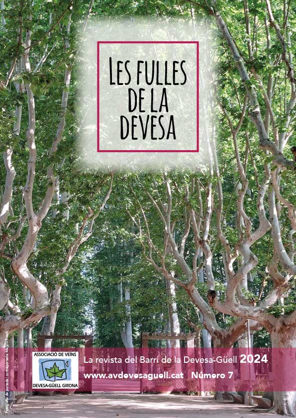 Portada de la revista Les Fulles de la Devesa